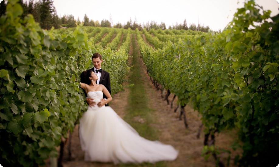 Alejandra and Jeffrey_wedding_See Ya Later Ranch_winery_vineyard_summer_outdoor_OK Falls_photography8114_by-Kevin-Trowbridge