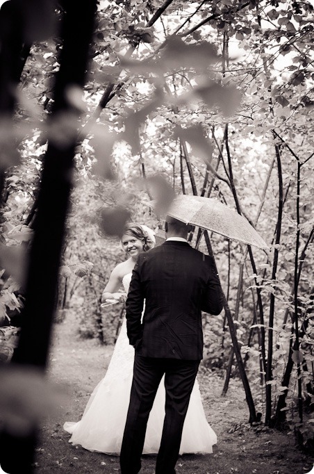 Jen and Don_wedding_Summerhill Winery_Kelowna_photography_vineyard_rain1390_by-Kevin-Trowbridge