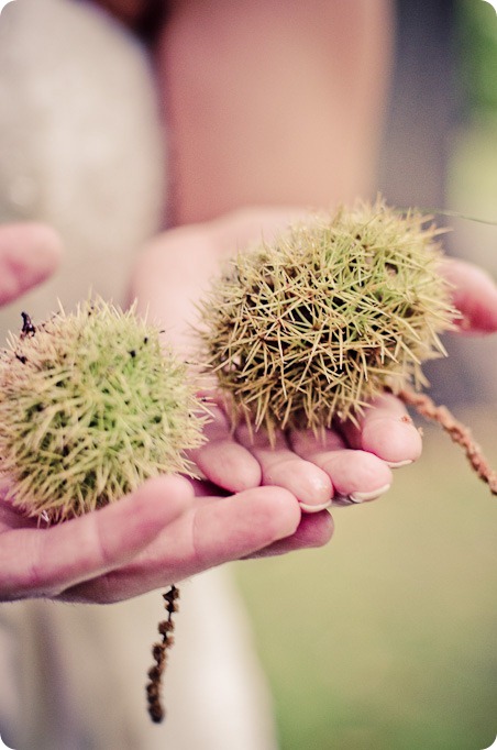 Jen and Don_wedding_Summerhill Winery_Kelowna_photography_vineyard_rain1452_by-Kevin-Trowbridge