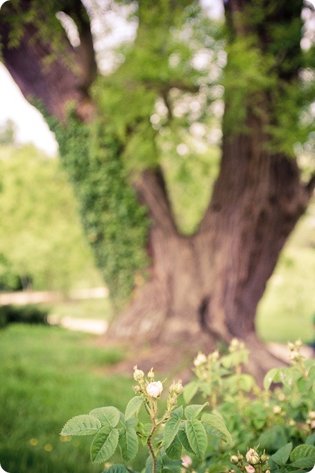 Versailles-France-chateau-wedding-photographer_1008_by-Kevin-Trowbridge