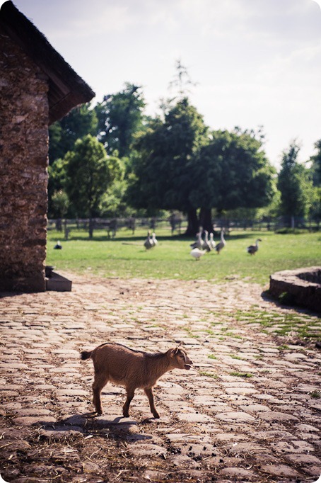 Versailles-France-chateau-wedding-photographer_1107_by-Kevin-Trowbridge