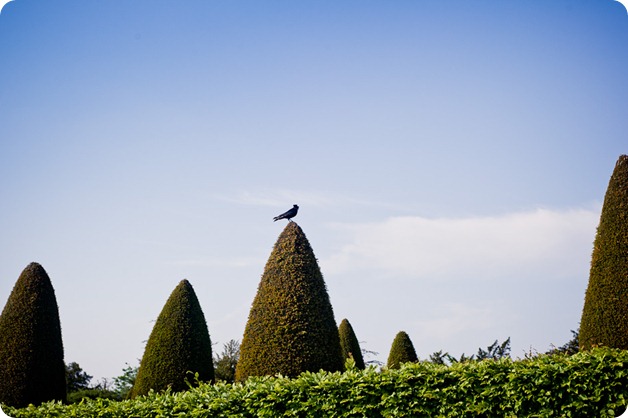 Versailles-France-chateau-wedding-photographer_1139_by-Kevin-Trowbridge