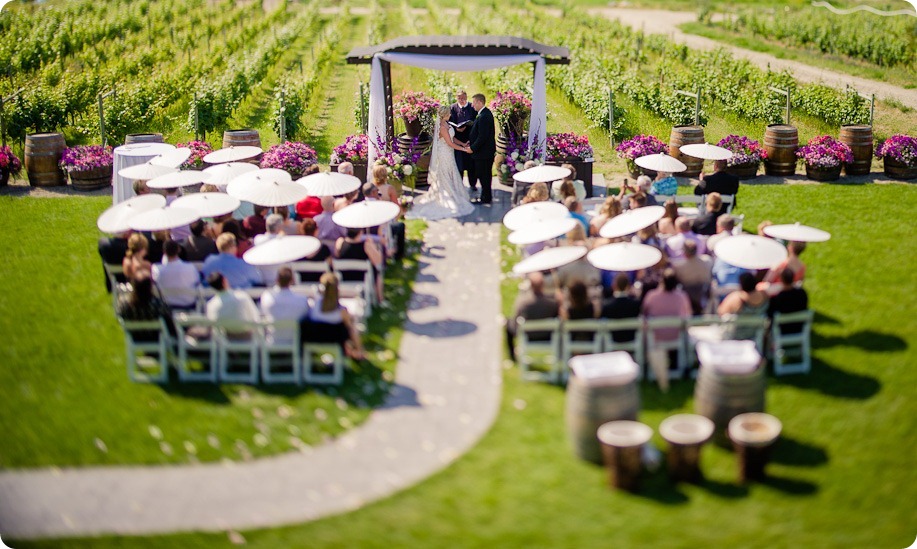 Summerhill-Winery-wedding-Kelowna-vineyards_by-Kevin-Trowbridge-49