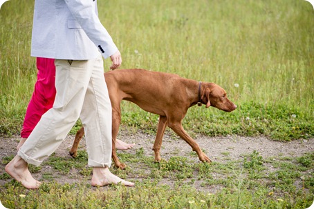 Vernon-engagement-photographer_lake-horse_17_by-Kevin-Trowbridge