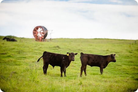 Vernon-engagement-session_family-homestead3478_by-Kevin-Trowbridge