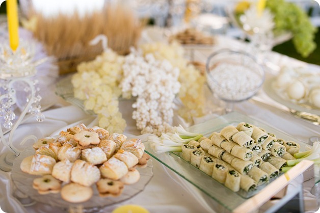 langley-Persian-wedding-lake08_by-Kevin-Trowbridge