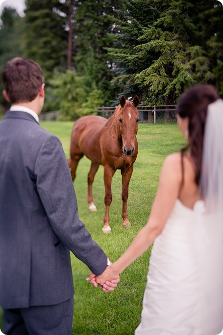 the harvest_kelowna_wedding_photography63_by-Kevin-Trowbridge