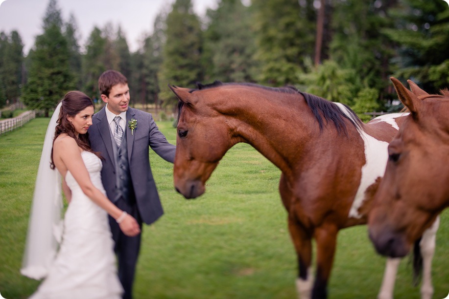 the harvest_kelowna_wedding_photography65_by-Kevin-Trowbridge