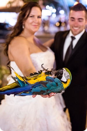 Hawaii-wedding-Waikiki-Moana-Hilton-Crystal-Chapel_186_by-Kevin-Trowbridge