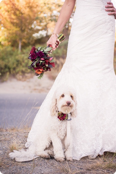 Kelowna-Summerhill-Winery-fall-wedding-vineyard-barn-pyramid-portraits60_by-Kevin-Trowbridge