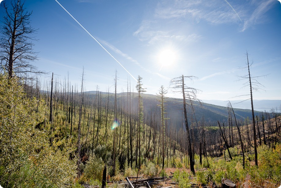 Myra-Canyon-engagement-Kelowna-train-tressles-cruiser-bikes01_by-Kevin-Trowbridge