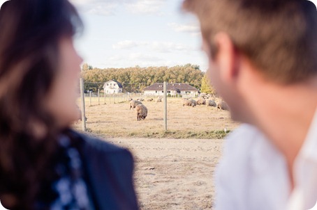 Kelowna-fall-autumn-farm-engagement-session-with-horses_1963_by-Kevin-Trowbridge