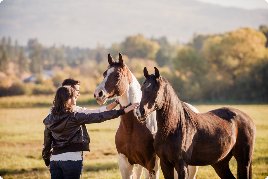 Kelowna-fall-autumn-farm-engagement-session-with-horses_2961_by-Kevin-Trowbridge