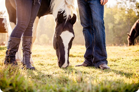 Kelowna-fall-autumn-farm-engagement-session-with-horses_2988_by-Kevin-Trowbridge