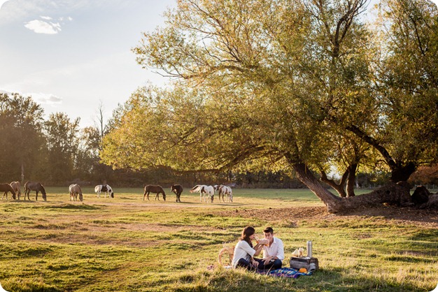 Kelowna-fall-autumn-farm-engagement-session-with-horses_3272_by-Kevin-Trowbridge