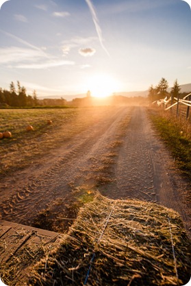 Kelowna-fall-autumn-farm-engagement-session-with-horses_3467_by-Kevin-Trowbridge