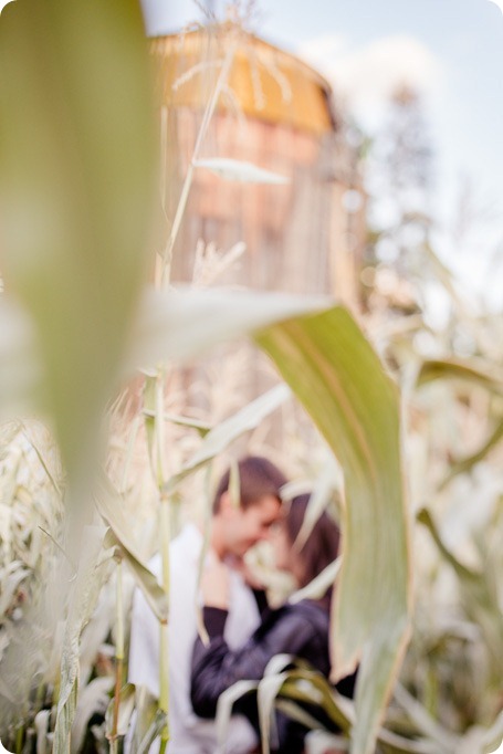 Kelowna-fall-autumn-farm-engagement-session-with-horses_3504_by-Kevin-Trowbridge