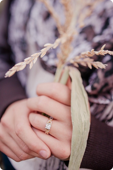 Kelowna-fall-autumn-farm-engagement-session-with-horses_3536_by-Kevin-Trowbridge