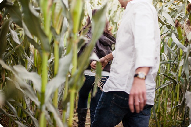 Kelowna-fall-autumn-farm-engagement-session-with-horses_3587_by-Kevin-Trowbridge