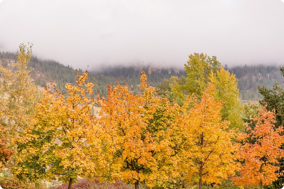 oyama-engagement-session_autumn-portraits117_by-Kevin-Trowbridge