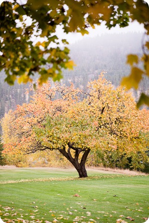 oyama-engagement-session_autumn-portraits43_by-Kevin-Trowbridge