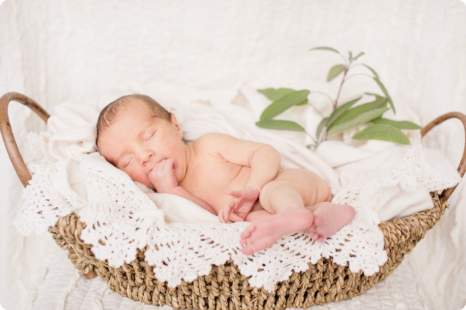 kelowna-newborn-session_baby-portraits06_by-Kevin-Trowbridge