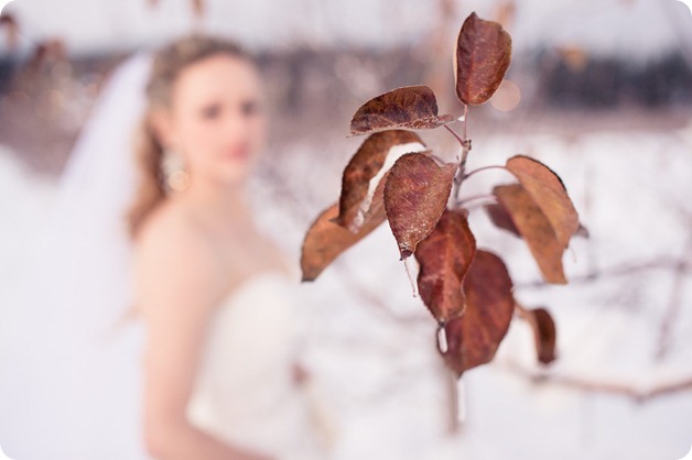 okanagan_winter-wedding_new-year's-eve114_by-Kevin-Trowbridge