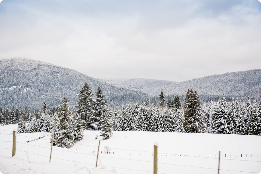 okanagan_winter-wedding_new-year's-eve32_by-Kevin-Trowbridge