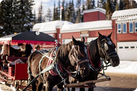 Silverstar-winter-engagement-session_horse-drawn-sleigh58_by-Kevin-Trowbridge