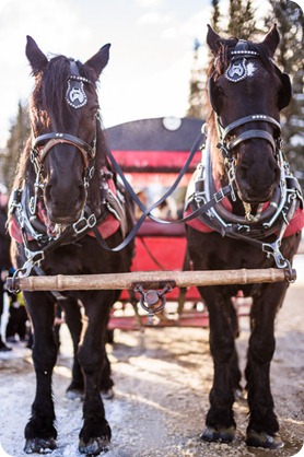 Silverstar-winter-engagement-session_horse-drawn-sleigh64_by-Kevin-Trowbridge