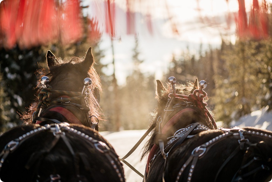 Silverstar-winter-engagement-session_horse-drawn-sleigh67_by-Kevin-Trowbridge