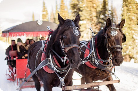 Silverstar-winter-engagement-session_horse-drawn-sleigh69_by-Kevin-Trowbridge