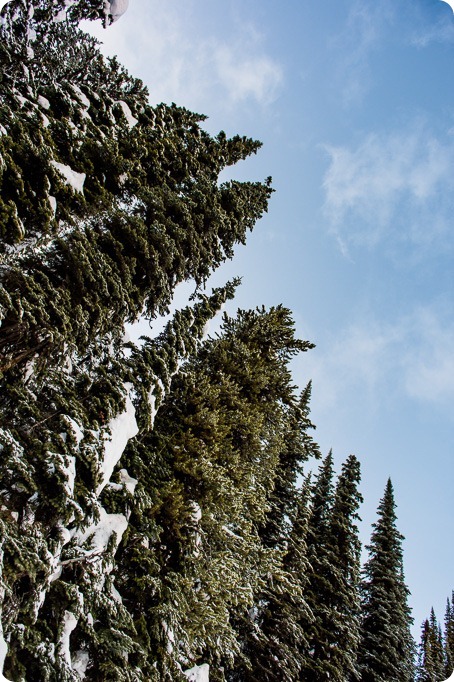 Silverstar-winter-engagement-session_horse-drawn-sleigh91_by-Kevin-Trowbridge