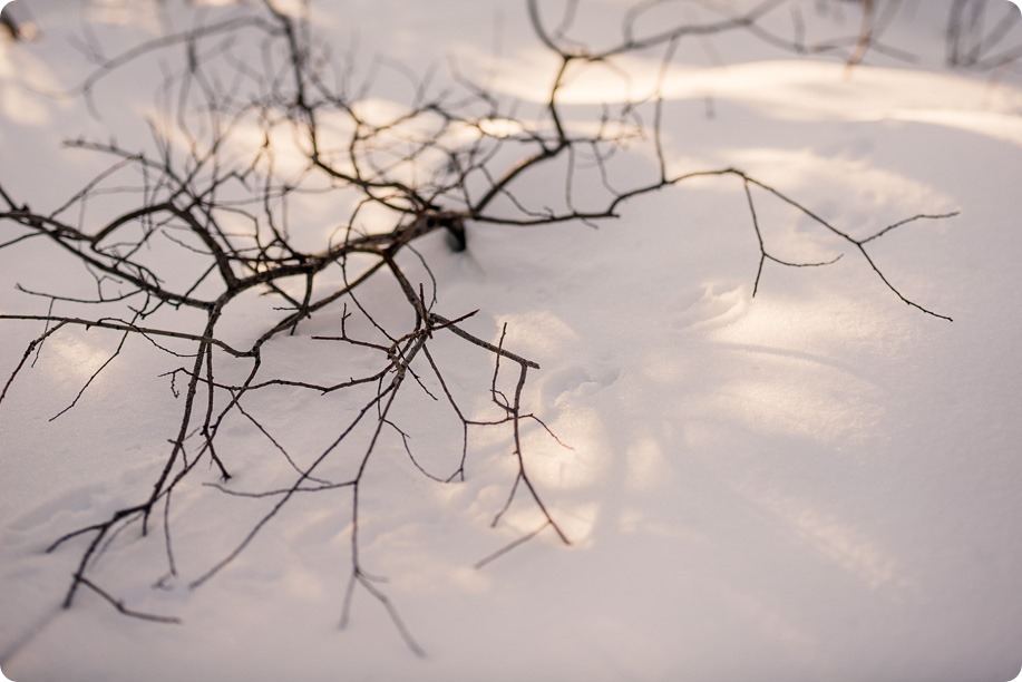 Crystal-Mountain_Kelowna-engagement-session_snowshoeing-smores_71_by-Kevin-Trowbridge