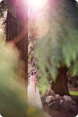 persian-wedding_queen-elizabeth-park_fairmont-hotel-vancouver-wedding-photography_71_by-Kevin-Trowbridge