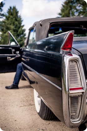 convertible-Cadillac_engagement-portraits_travel-cherry-orchard_Okanagan_10_by-Kevin-Trowbridge