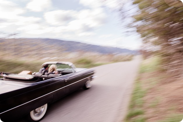 convertible-Cadillac_engagement-portraits_travel-cherry-orchard_Okanagan_24_by-Kevin-Trowbridge