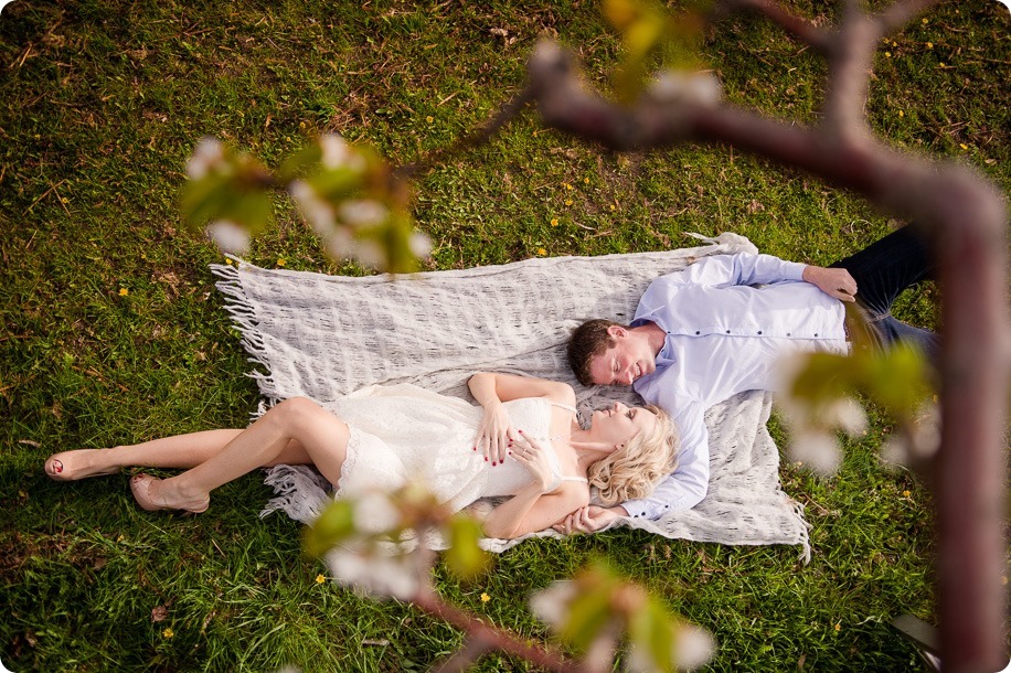 convertible-Cadillac_engagement-portraits_travel-cherry-orchard_Okanagan_49_by-Kevin-Trowbridge