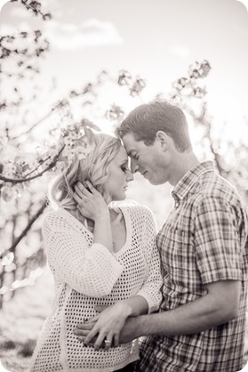 convertible-Cadillac_engagement-portraits_travel-cherry-orchard_Okanagan_90_by-Kevin-Trowbridge