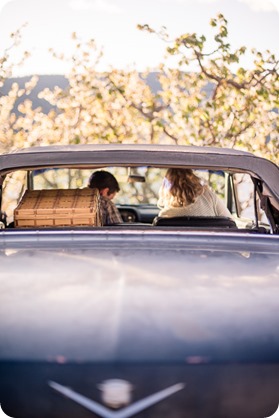 convertible-Cadillac_engagement-portraits_travel-cherry-orchard_Okanagan_95_by-Kevin-Trowbridge