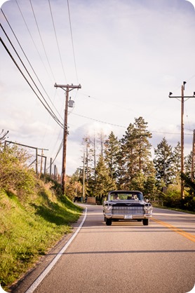 convertible-Cadillac_engagement-portraits_travel-cherry-orchard_Okanagan_97_by-Kevin-Trowbridge