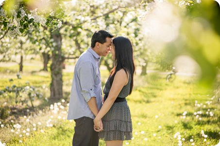 tandem-bike_engagement-portraits_apple-orchard_Kelowna_05_by-Kevin-Trowbridge