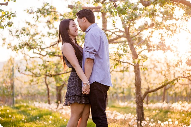 tandem-bike_engagement-portraits_apple-orchard_Kelowna_104_by-Kevin-Trowbridge