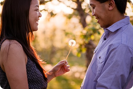 tandem-bike_engagement-portraits_apple-orchard_Kelowna_109_by-Kevin-Trowbridge