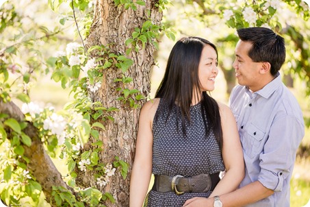 tandem-bike_engagement-portraits_apple-orchard_Kelowna_10_by-Kevin-Trowbridge