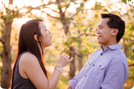 tandem-bike_engagement-portraits_apple-orchard_Kelowna_111_by-Kevin-Trowbridge