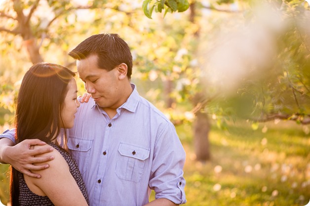 tandem-bike_engagement-portraits_apple-orchard_Kelowna_112_by-Kevin-Trowbridge