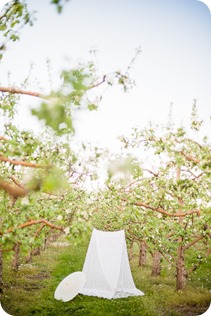 tandem-bike_engagement-portraits_apple-orchard_Kelowna_120_by-Kevin-Trowbridge