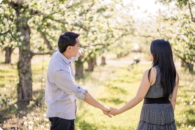 tandem-bike_engagement-portraits_apple-orchard_Kelowna_13_by-Kevin-Trowbridge