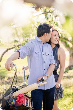 tandem-bike_engagement-portraits_apple-orchard_Kelowna_18_by-Kevin-Trowbridge